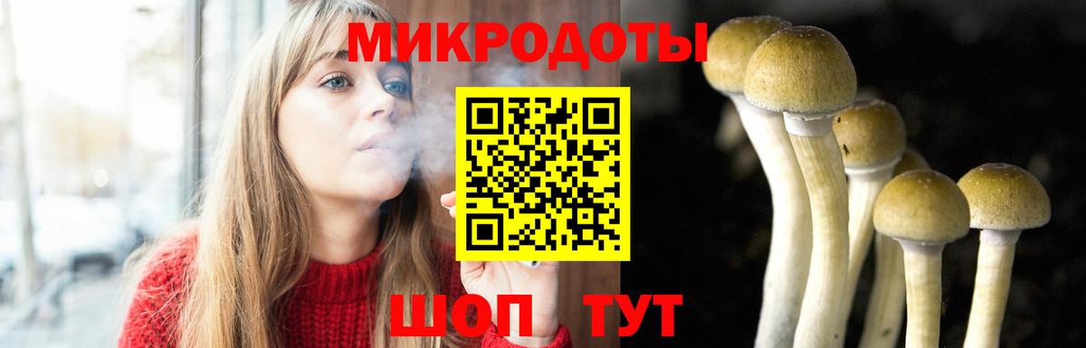 Комсомольск-на-Амуре  Псилоцибиновые грибы Magic Shrooms  Вход с VPN 